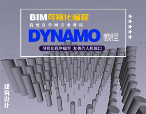 BIMҕ--Dynamo̳